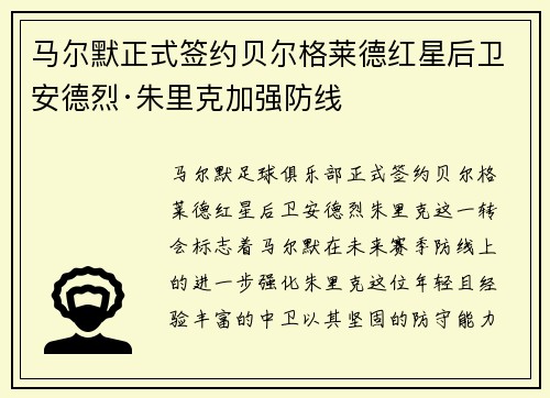 马尔默正式签约贝尔格莱德红星后卫安德烈·朱里克加强防线